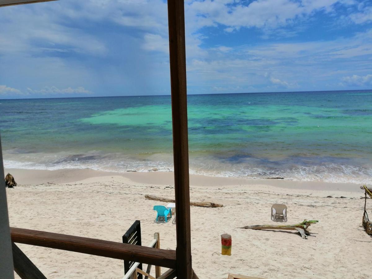 Hotel Miss Bassy'S Lodging San Andrés Exteriér fotografie