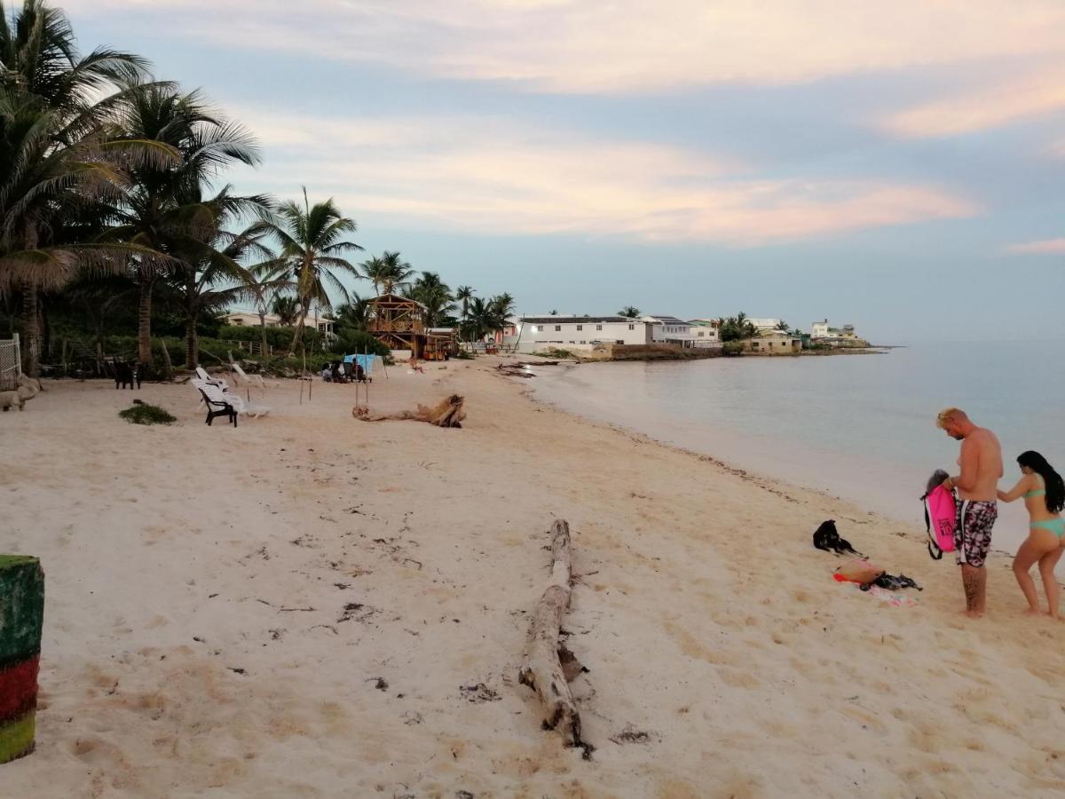 Hotel Miss Bassy'S Lodging San Andrés Exteriér fotografie